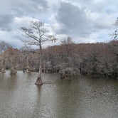 Review photo of Caddo Lake State Park Campground by Susan A., March 14, 2022