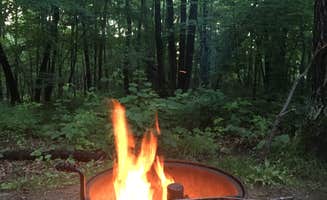 Jen H.'s photo at Ogechie Campground — Mille Lacs Kathio State Park near Isle, MN