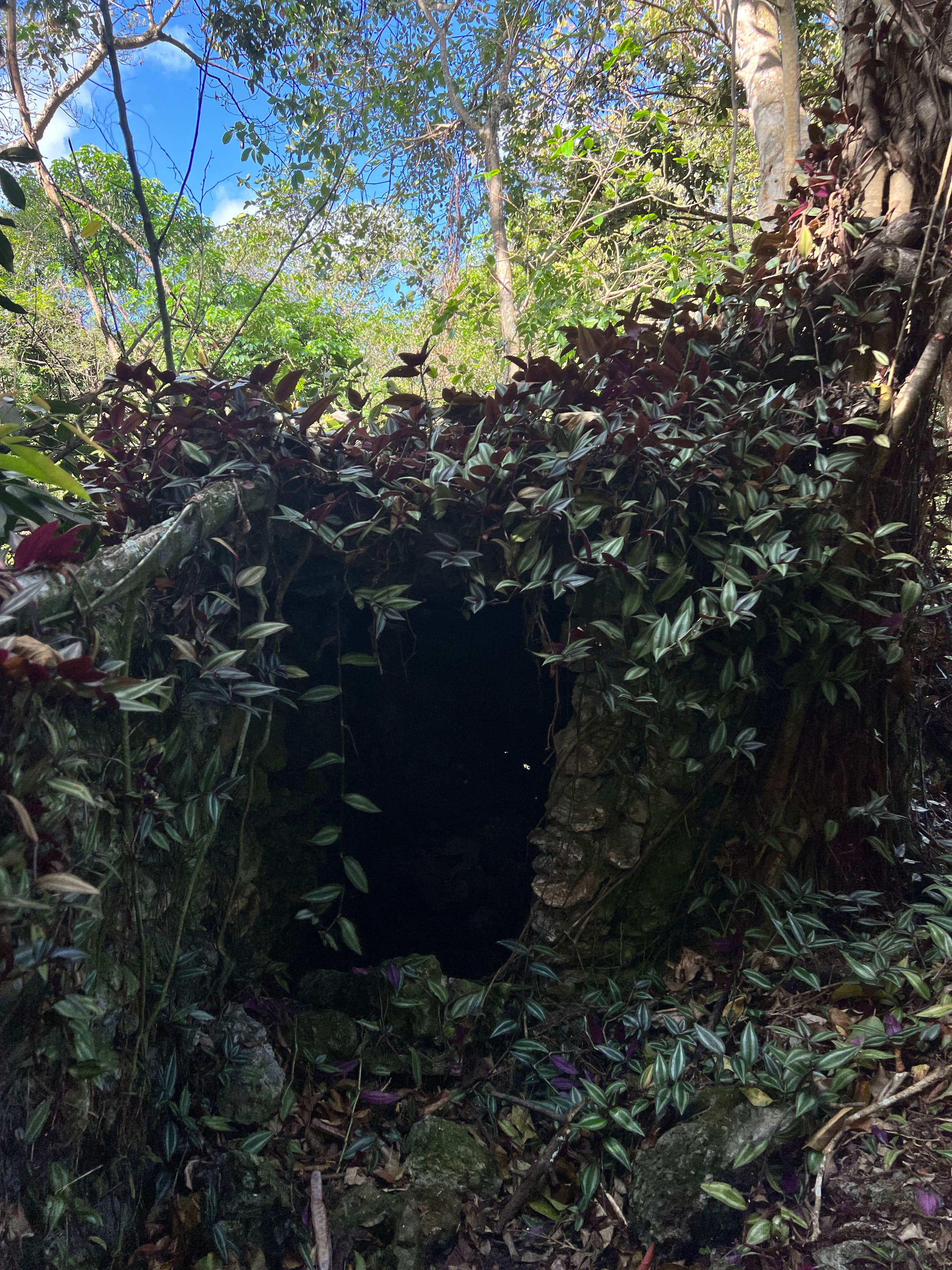 Camper-submitted photo at Markham Park Campground near North Miami, FL