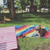 Review photo of Lake Shetek State Park Campground by Jen H., July 11, 2018