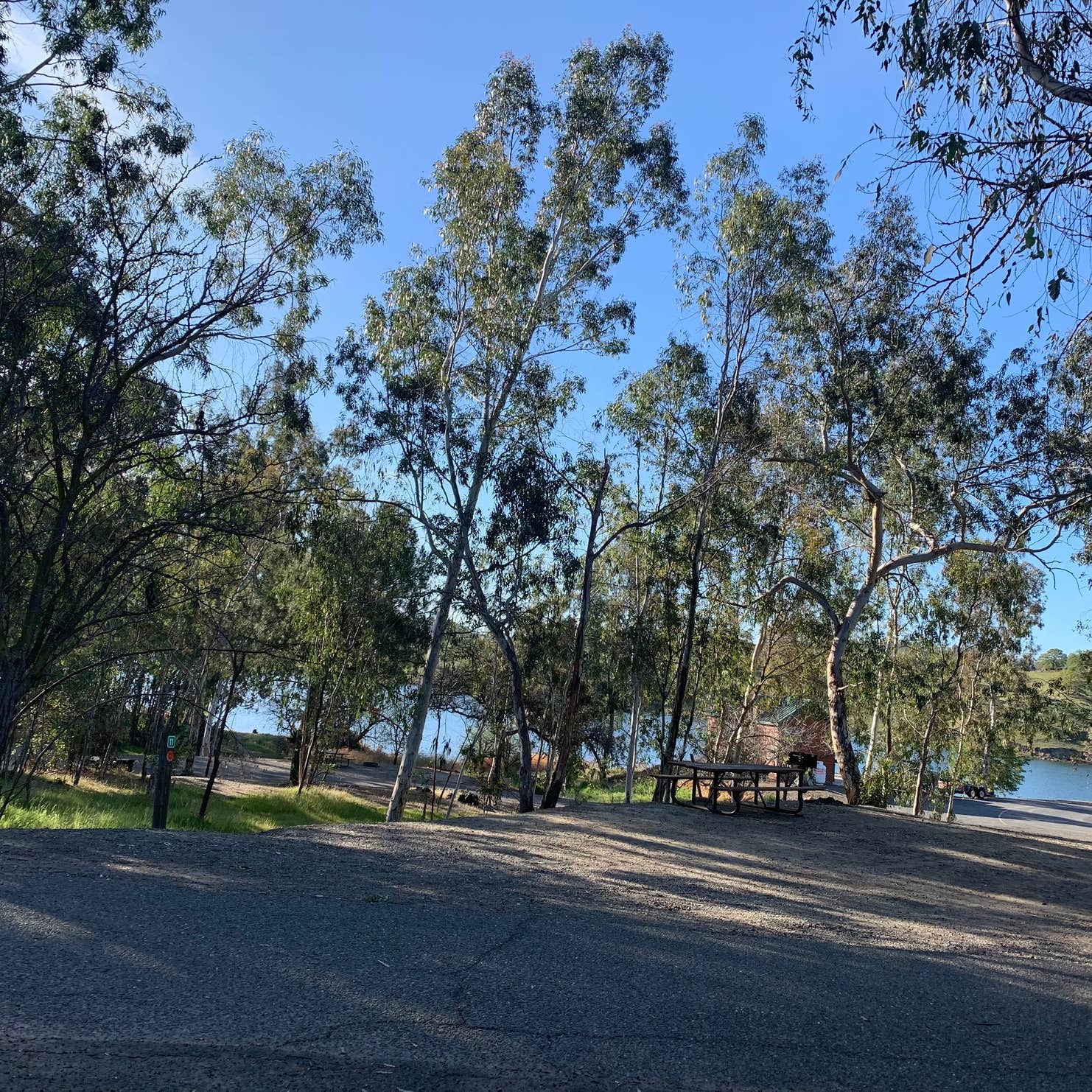 Lake McSwain Recreation Area Camping Snelling, CA The Dyrt