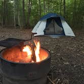 Review photo of William O'Brien State Park Campground by Jen H., July 11, 2018