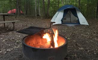 Jen H.'s photo of tent camping at William O'Brien State Park Campground near Richfield, MN