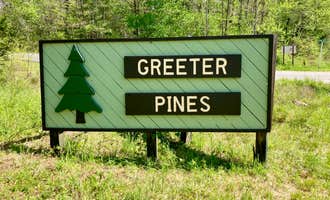 Camping near Stone Door Campground — Savage Gulf State Park: Greeter Falls Campground, Beersheba Springs, Tennessee