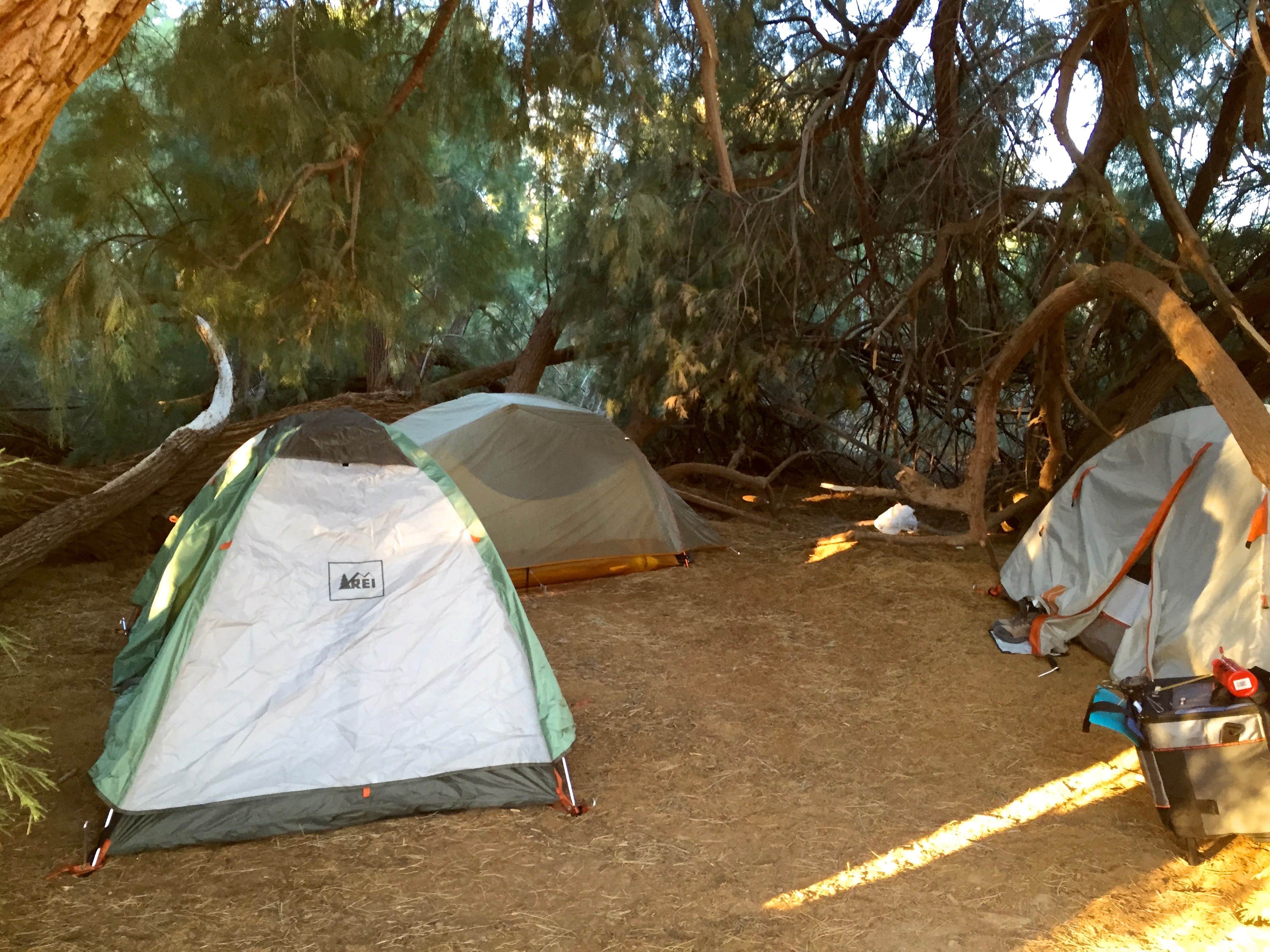 Delia M.'s photo at Furnace Creek Campground — Death Valley National Park near Beatty, NV