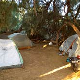 Review photo of Furnace Creek Campground — Death Valley National Park by Delia M., July 11, 2018