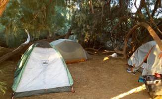 Delia M.'s photo at Furnace Creek Campground — Death Valley National Park near Beatty, NV