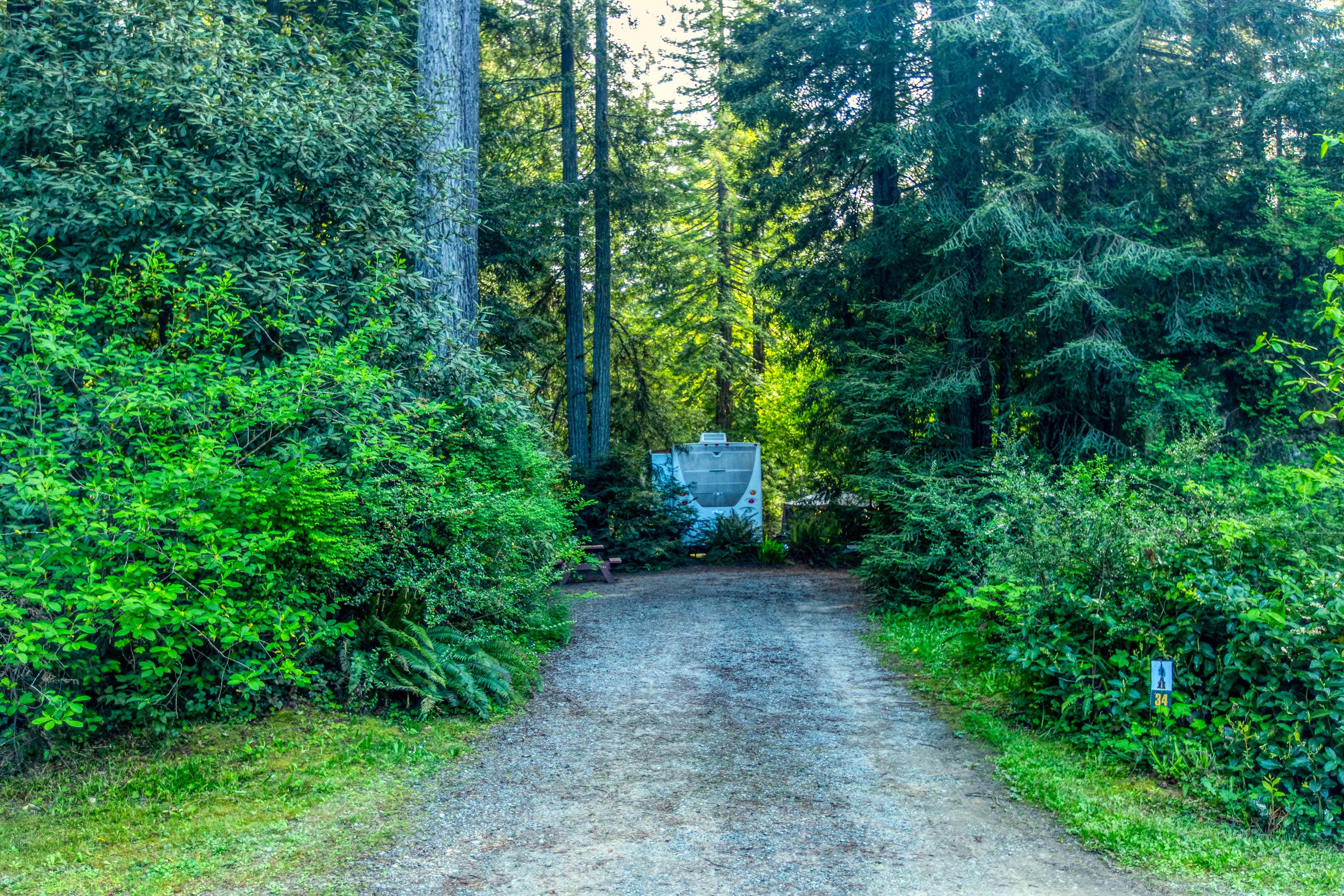Camper-submitted photo at Ramblin' Redwoods Campground & RV Park near Smith River, CA