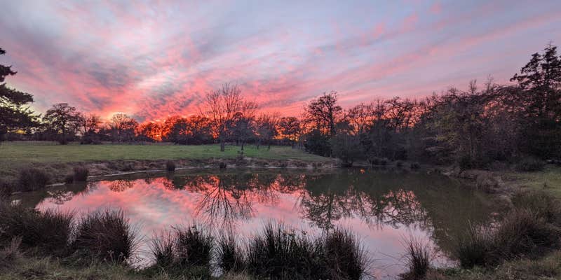 Camper submitted image from Paradise Acres