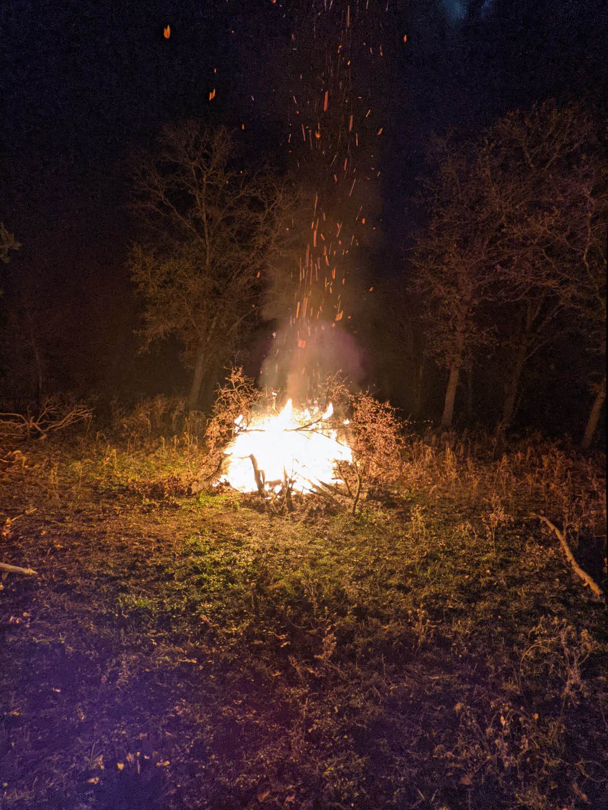 Camper-submitted photo at Paradise Acres near Cameron, TX