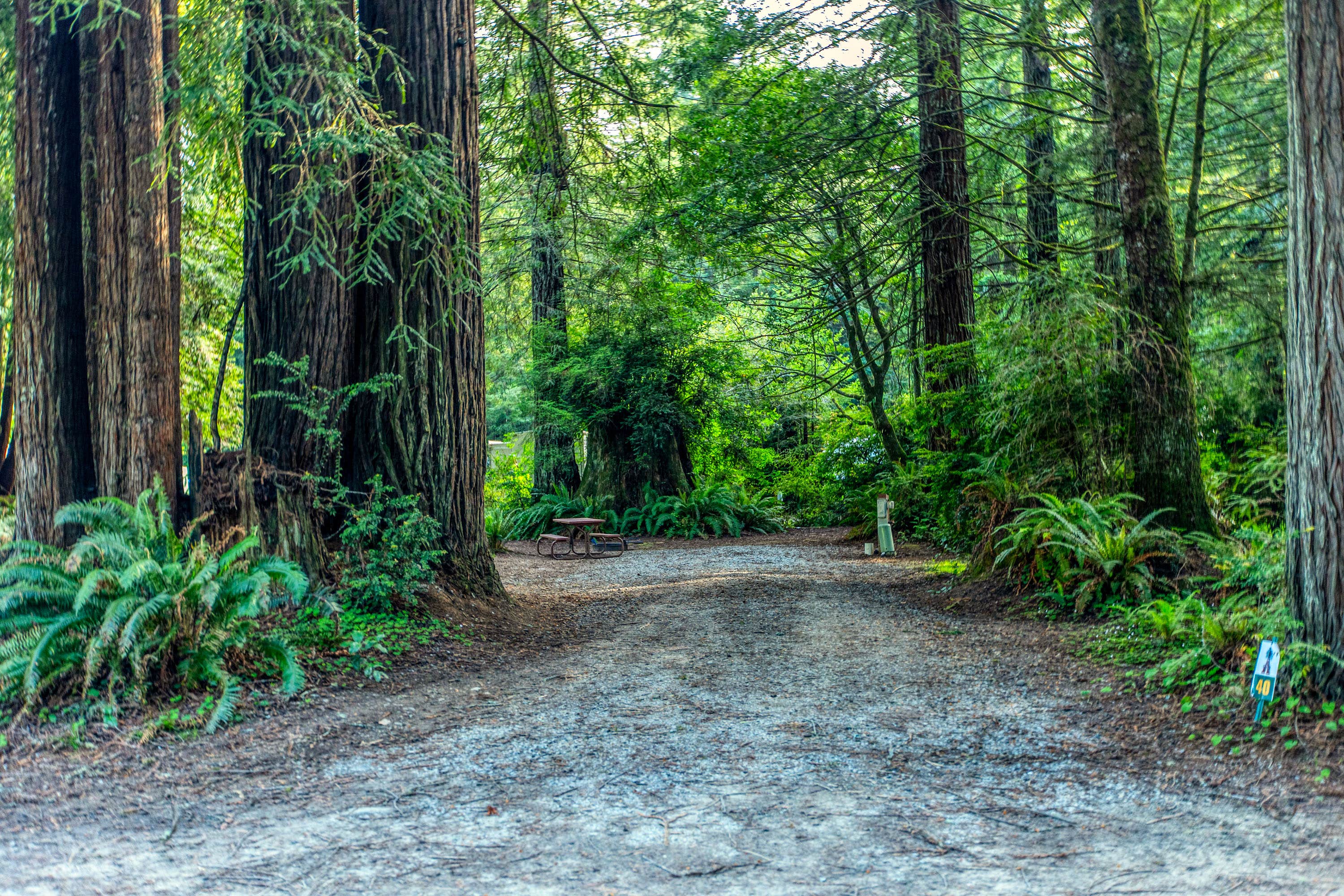 Camper-submitted photo at Ramblin' Redwoods Campground & RV Park near Smith River, CA