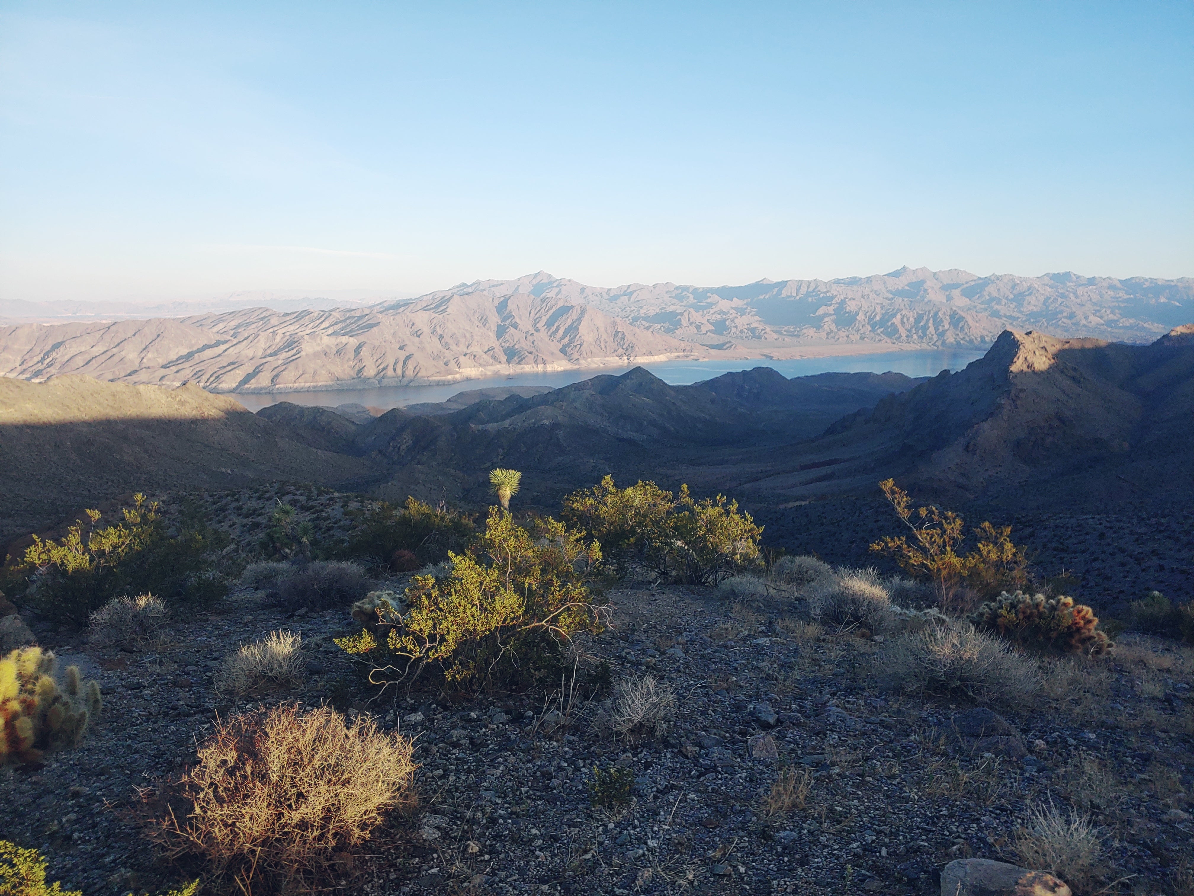 Camper submitted image from Pierce Ferry Rd Dispersed — Lake Mead National Recreation Area - 3