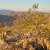 Review photo of Pierce Ferry Rd Dispersed — Lake Mead National Recreation Area by mickey , March 14, 2022