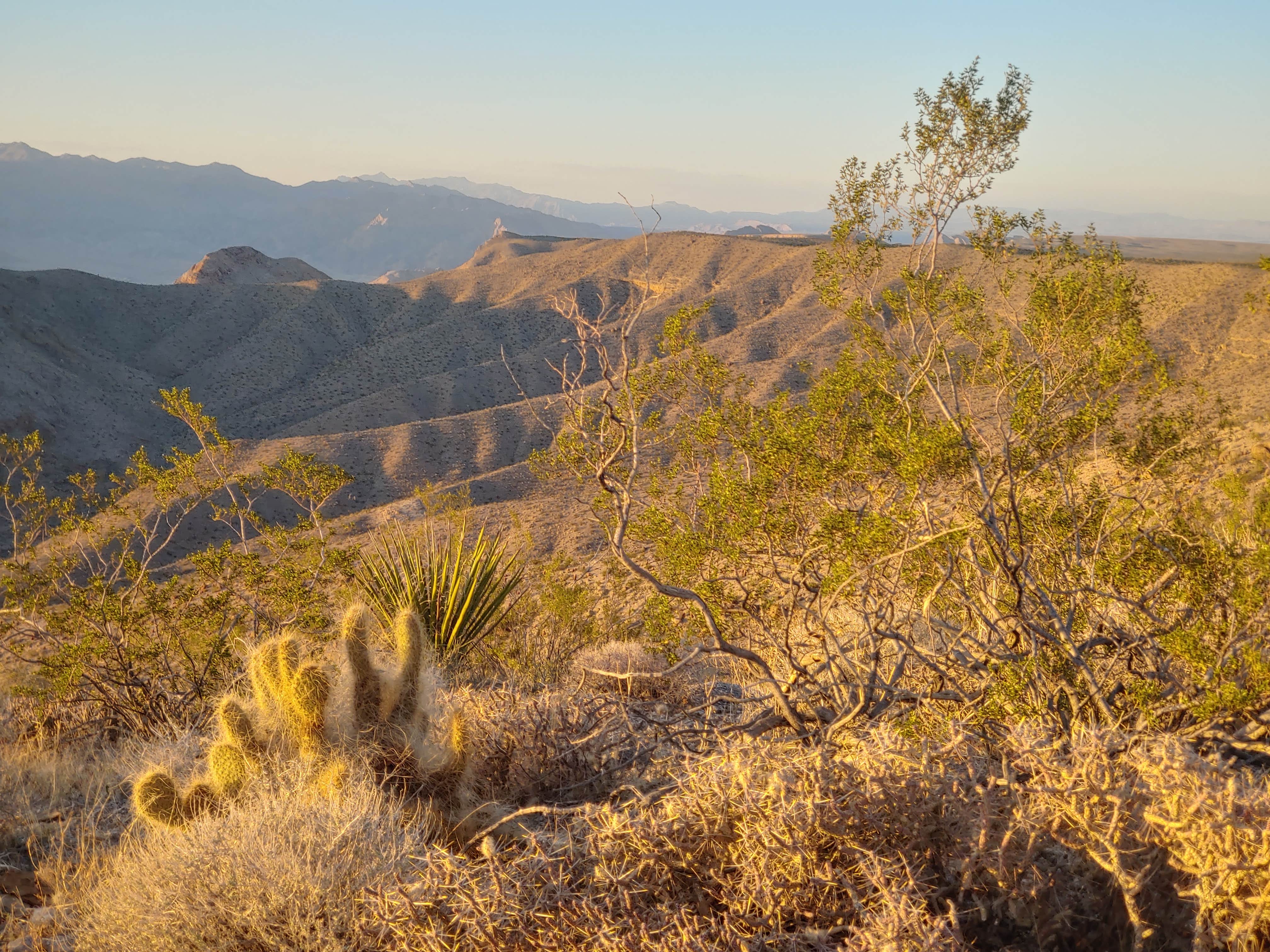 Camper submitted image from Pierce Ferry Rd Dispersed — Lake Mead National Recreation Area - 2