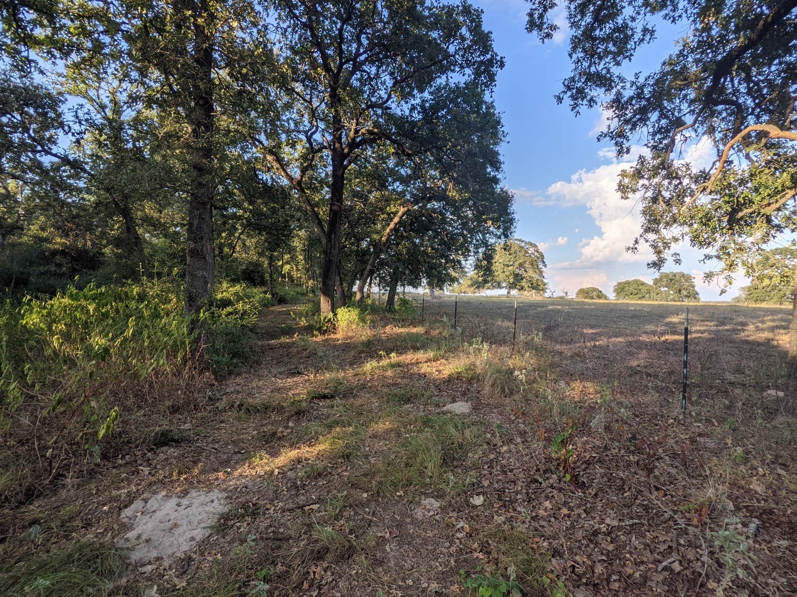 Camper-submitted photo at Paradise Acres near Cameron, TX