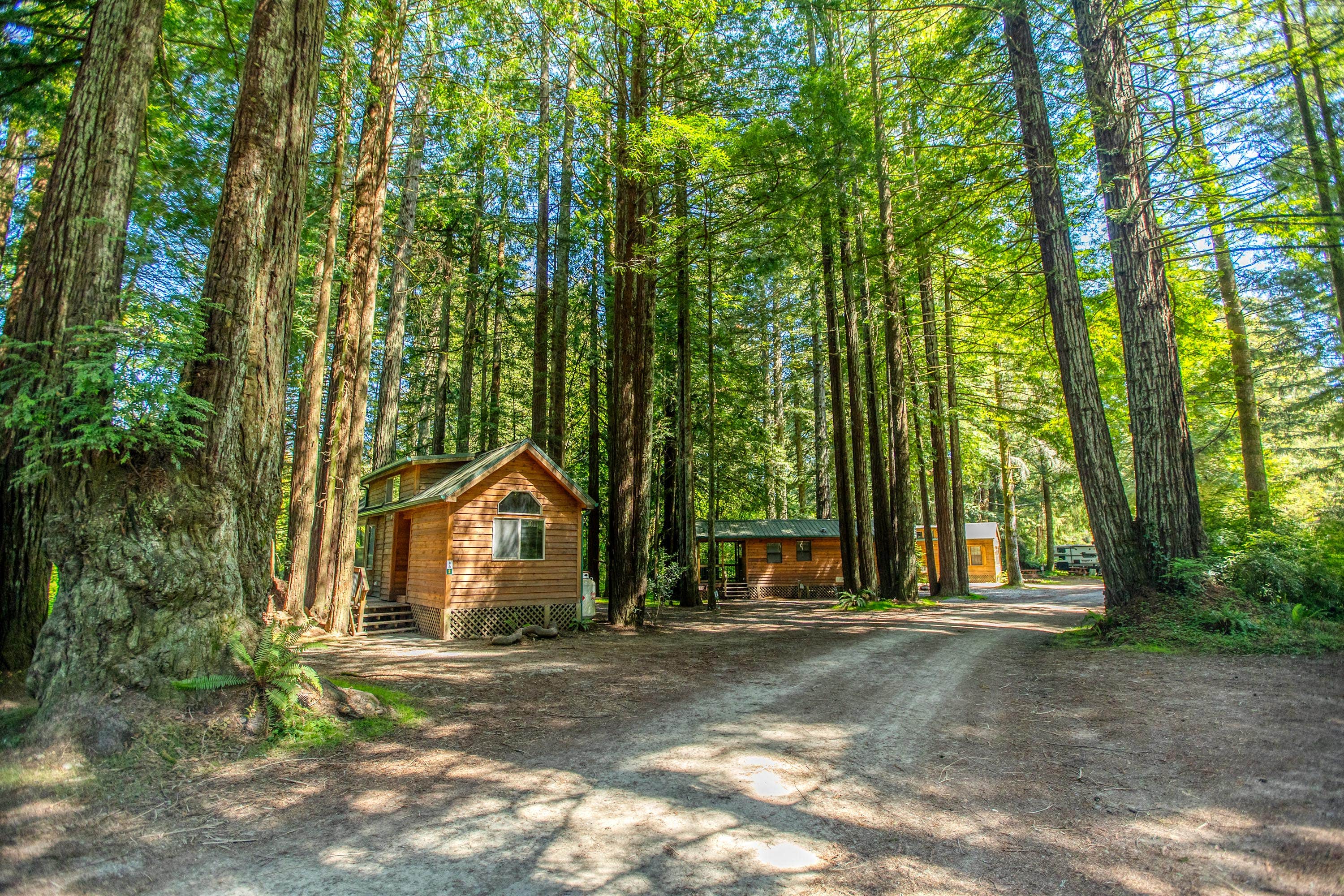 Horizon M.'s photo of glamping accommodations at Ramblin' Redwoods Campground & RV Park near Ophir, OR