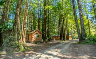 Horizon M.'s photo of a cabin at Ramblin' Redwoods Campground & RV Park near Orick, CA