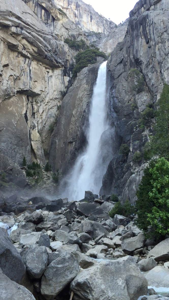 Camper submitted image from Curry Village — Yosemite National Park - 2