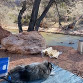 Review photo of Zion Canyon Campground by Valentina A., March 14, 2022