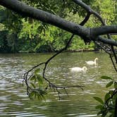 Review photo of Parvin State Park Campground by W L., March 15, 2022