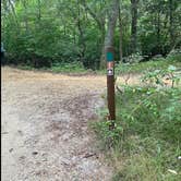 Review photo of Parvin State Park Campground by W L., March 15, 2022