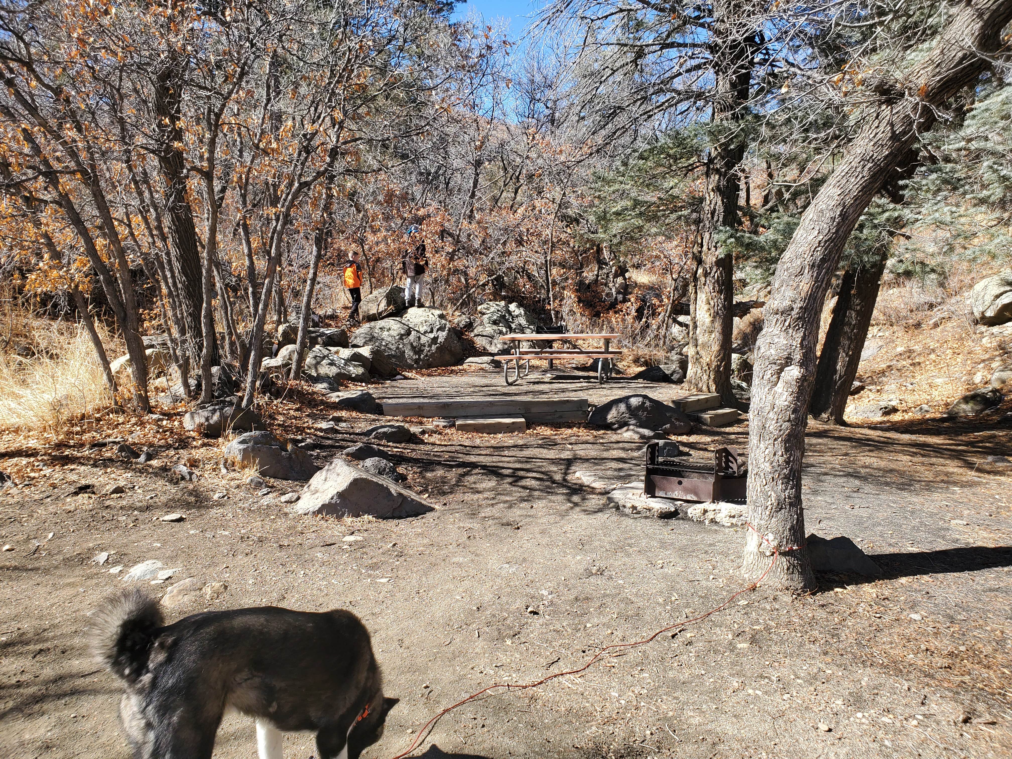 Megan's photo of camping with pets at Lake Alice Campground — Sugarite Canyon State Park near Grenville, NM
