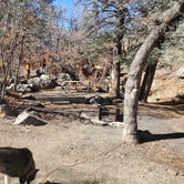 Review photo of Lake Alice Campground — Sugarite Canyon State Park by Megan , March 15, 2022