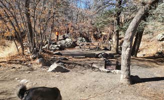 Megan's photo of camping with pets at Lake Alice Campground — Sugarite Canyon State Park near Capulin, NM