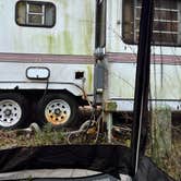 Review photo of River Oaks RV Resort by Jessica P., March 15, 2022