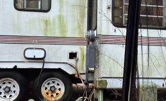 Jessica P.'s photo of rv camping at River Oaks RV Resort near Apollo Beach, FL