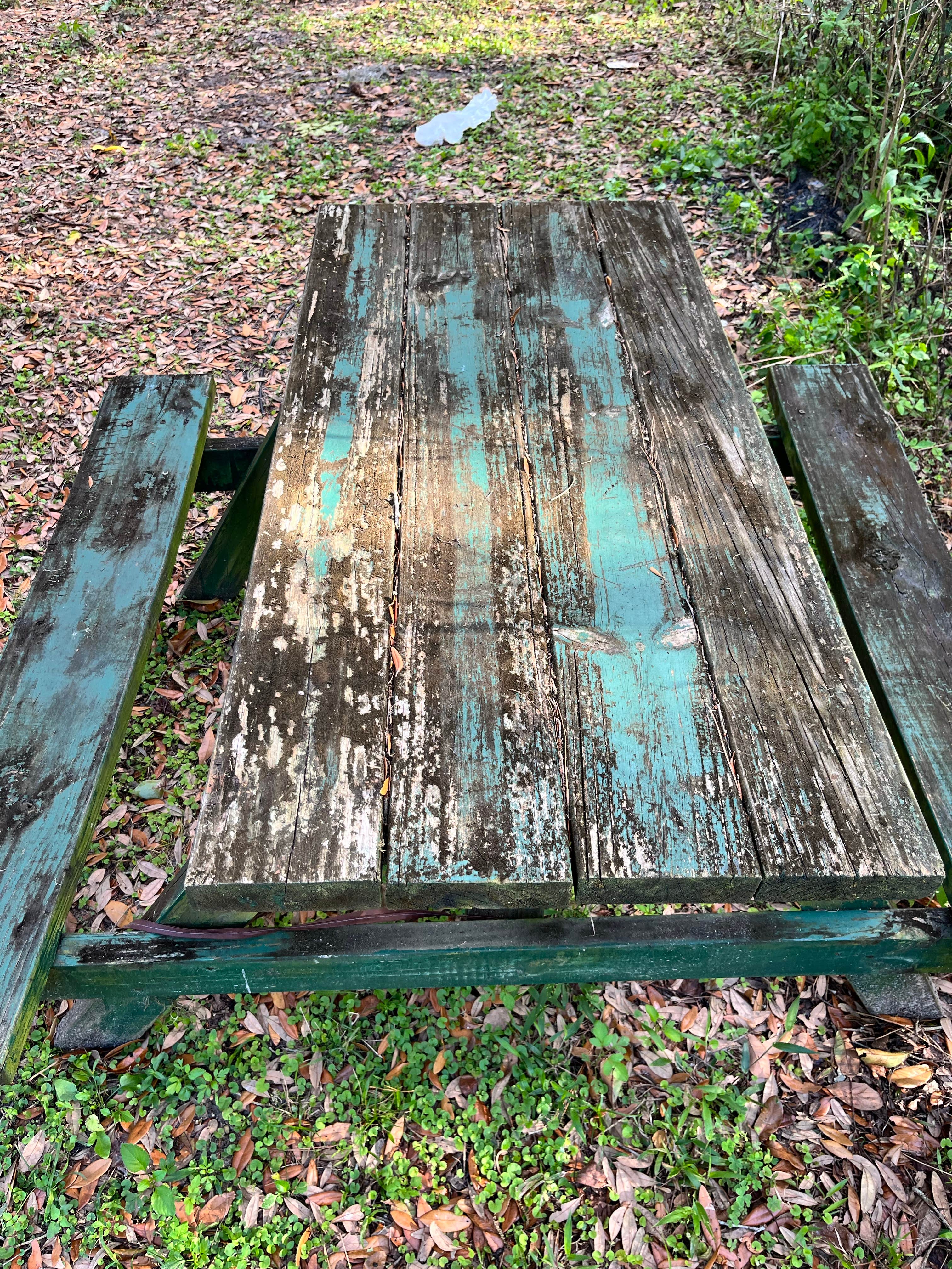 Camper-submitted photo at River Oaks RV Resort near Wimauma, FL