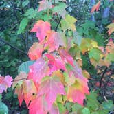 Review photo of Bradbury Mountain State Park Campground by Kelsey K., July 11, 2018