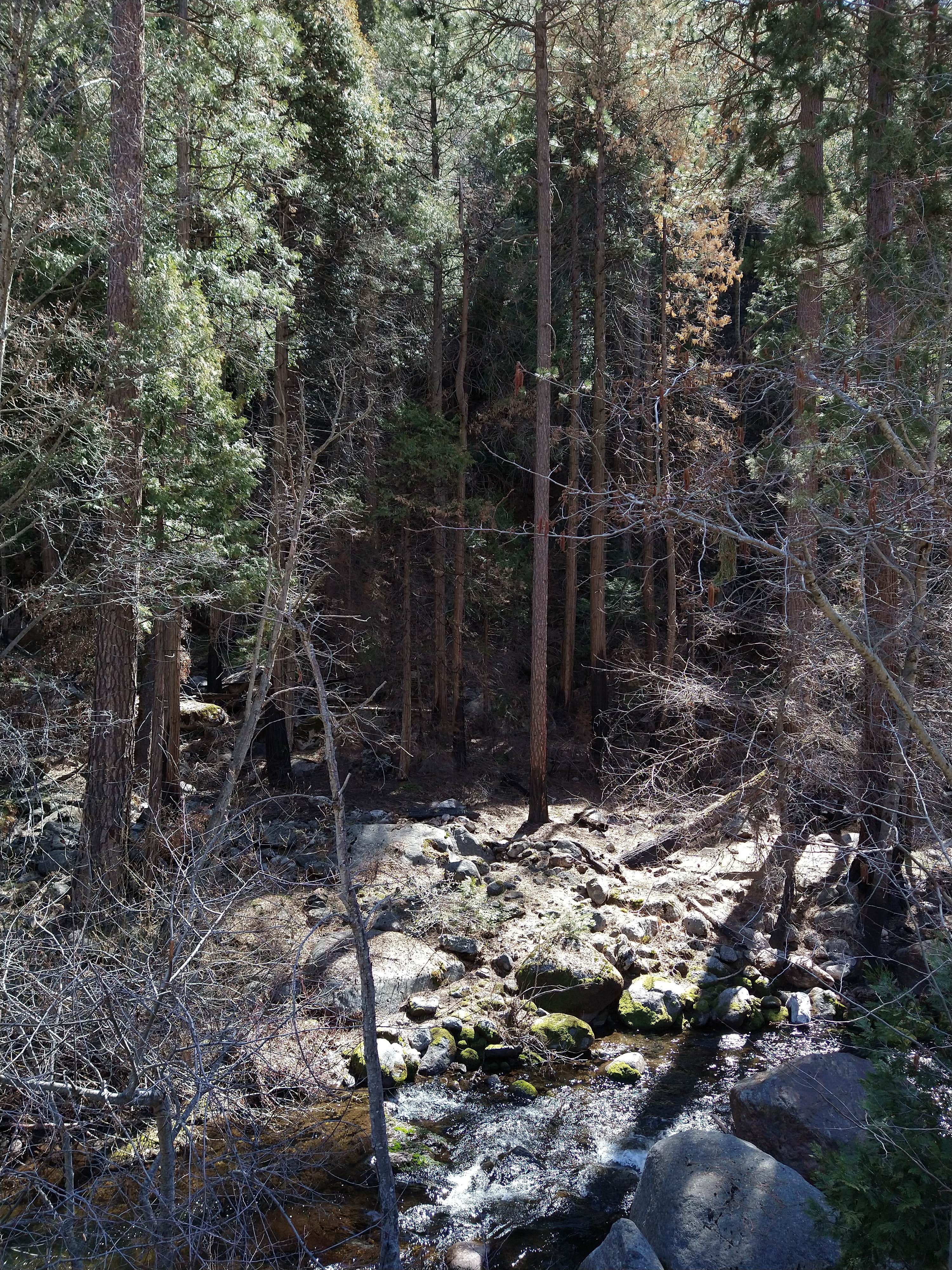 Camper-submitted photo at South Fork Campground — Sequoia National Park near Three Rivers, CA