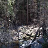 Review photo of South Fork Campground — Sequoia National Park by Lily S., March 15, 2022