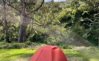 Erin S.'s photo at Haypress Campground — Golden Gate National Recreation Area near Sausalito, CA