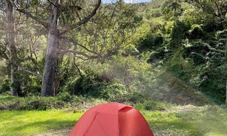 Camping near Pantoll Campground — Mount Tamalpais State Park: Haypress Campground — Golden Gate National Recreation Area, Muir Beach, California