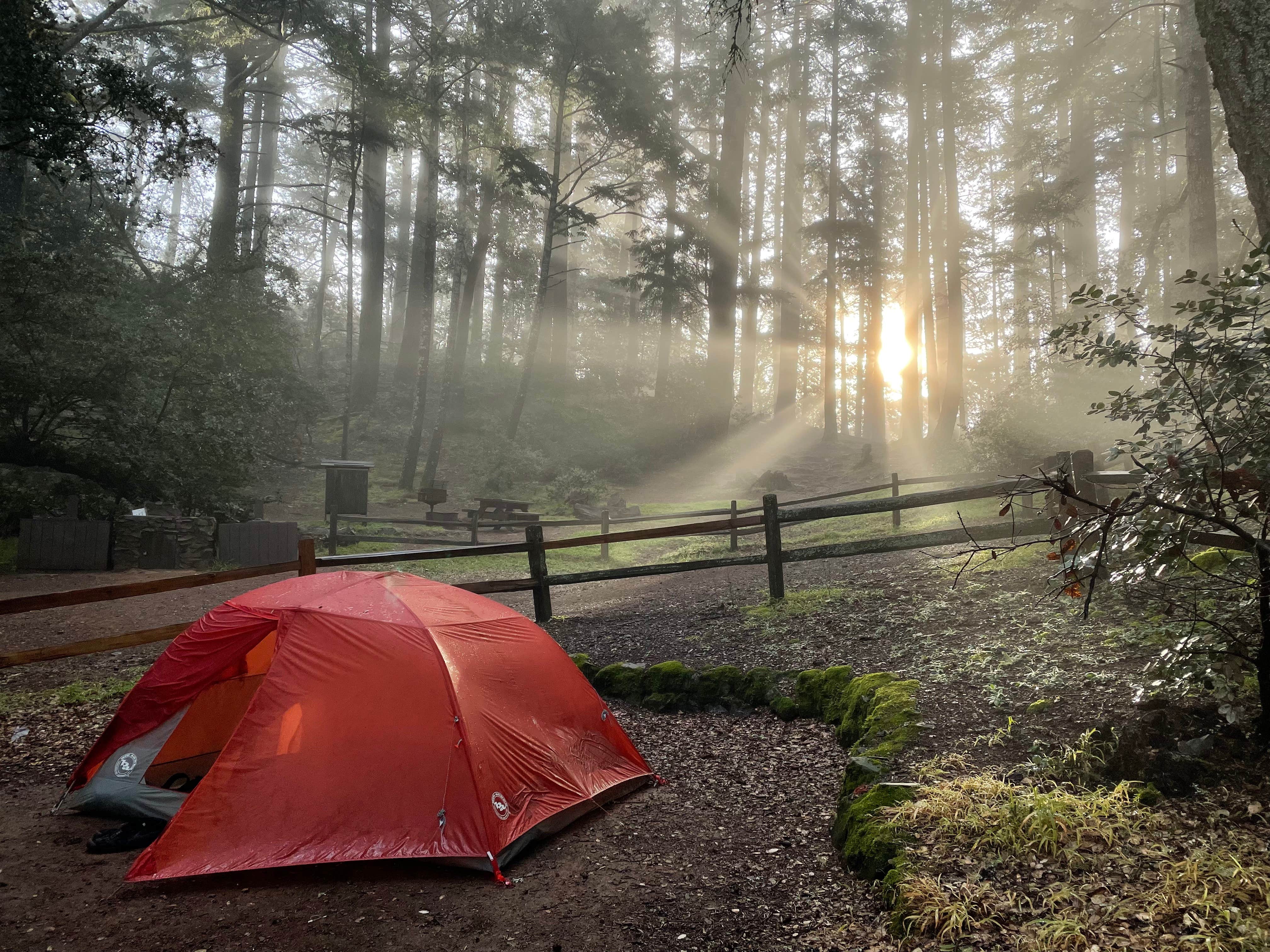 Camping near Sky Campground — Point Reyes National Seashore: Pantoll Campground — Mount Tamalpais State Park, Stinson Beach, California