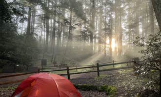 Camping near Bootjack Campground — Mount Tamalpais State Park: Pantoll Campground — Mount Tamalpais State Park, Stinson Beach, California
