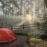 Review photo of Pantoll Campground — Mount Tamalpais State Park by Erin S., March 16, 2022