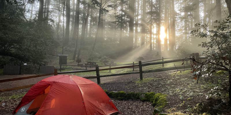 Camper submitted image from Pantoll Campground — Mount Tamalpais State Park