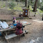 Review photo of Pantoll Campground — Mount Tamalpais State Park by Erin S., March 16, 2022