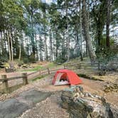 Review photo of Pantoll Campground — Mount Tamalpais State Park by Erin S., March 16, 2022