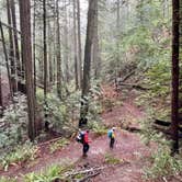 Review photo of Pantoll Campground — Mount Tamalpais State Park by Erin S., March 16, 2022