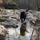 Review photo of Dry Fork Recreation Area by Charlotte B., July 11, 2018