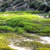 Review photo of Dry Fork Recreation Area by Charlotte B., July 11, 2018