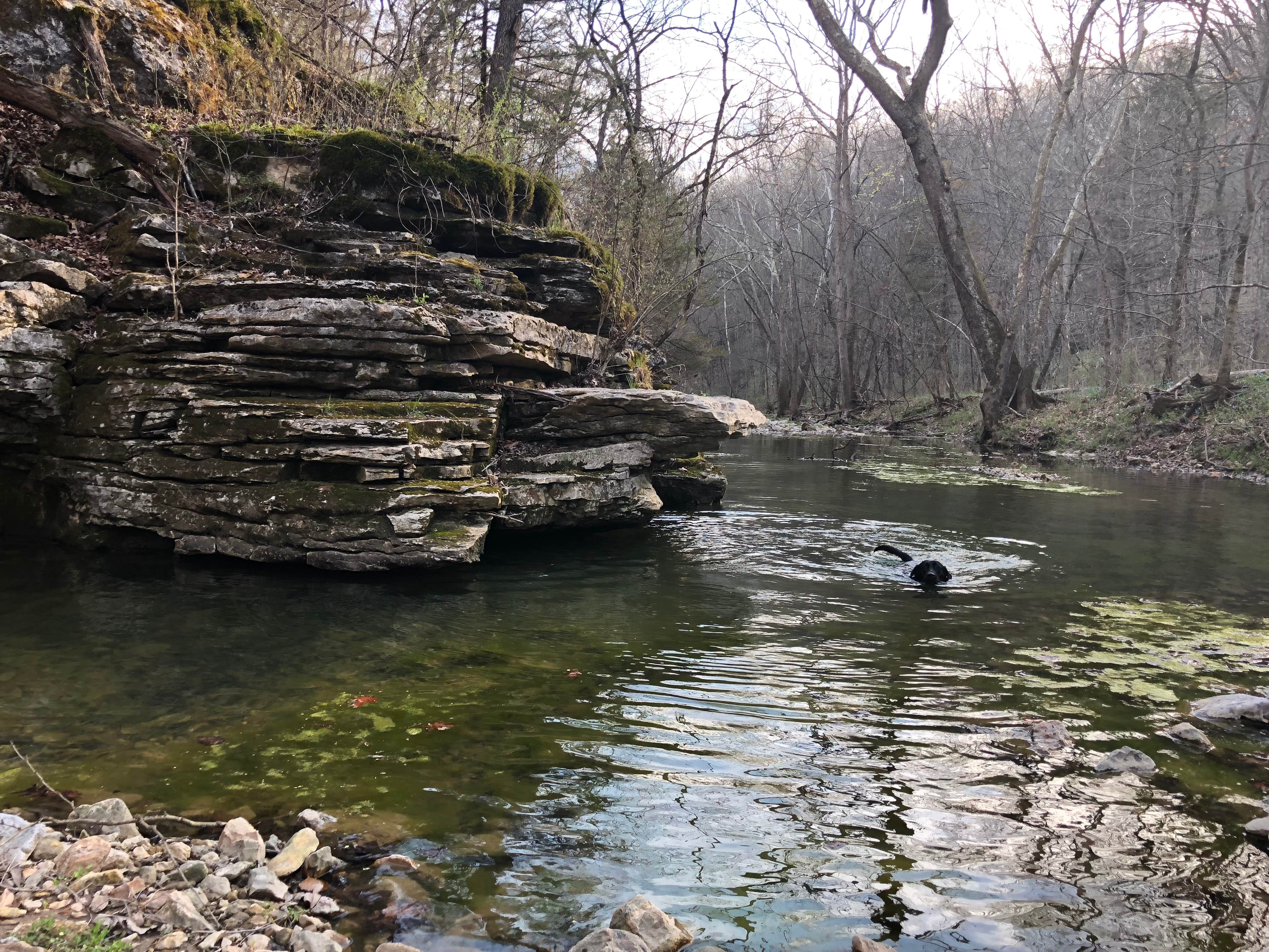 Dry Fork Recreation Area The Dyrt