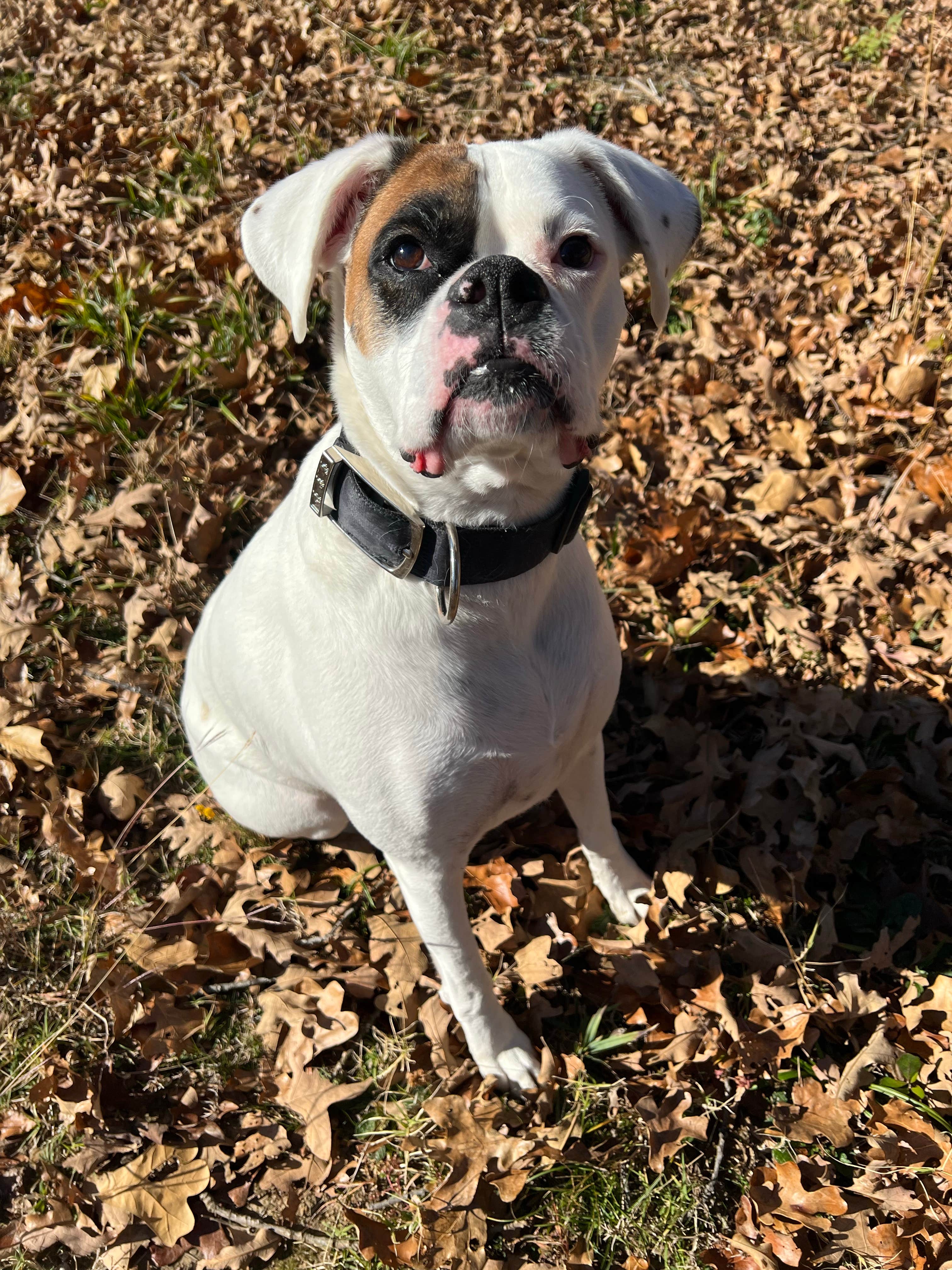 Camper-submitted photo at Turkey Flat Campground — Arrowhead State Park near Eufaula Lake