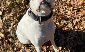 Jasmine B.'s photo of camping with pets at Turkey Flat Campground — Arrowhead State Park near Eufaula Lake