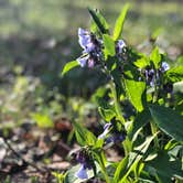 Review photo of Dry Fork Recreation Area by Charlotte B., July 11, 2018