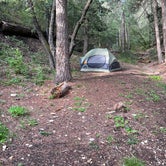 Review photo of Lower Karr Canyon Campground by Jayden C., March 16, 2022